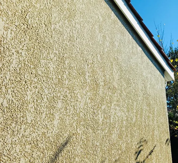 Façade avant nettoyage